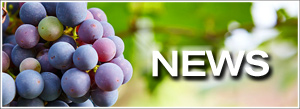 Prowein 2019